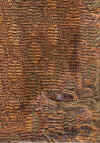 scan0002.jpg (809406 bytes)