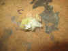 IMG_6844.JPG (1546189 bytes)