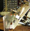IMG_3232.JPG (226209 bytes)
