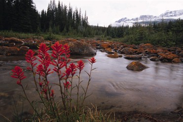 Demand for safe water for drinking, recreation, farming, and industry is rising.